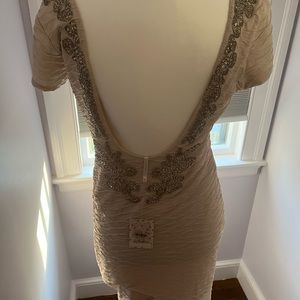 Beautiful fitted low back free people dress.